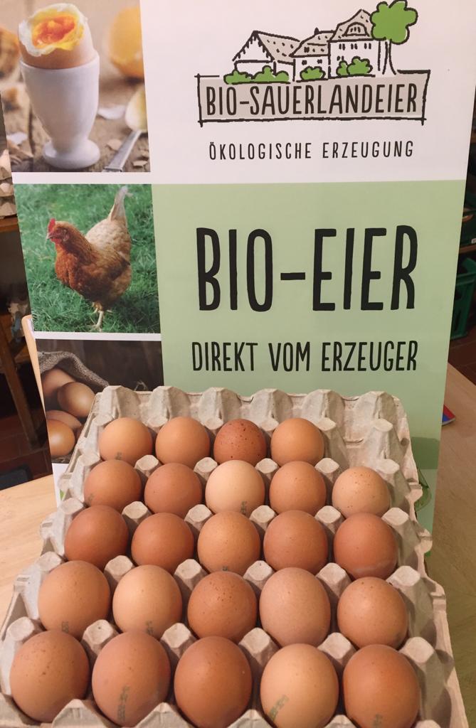 Bio- und Freilandeier